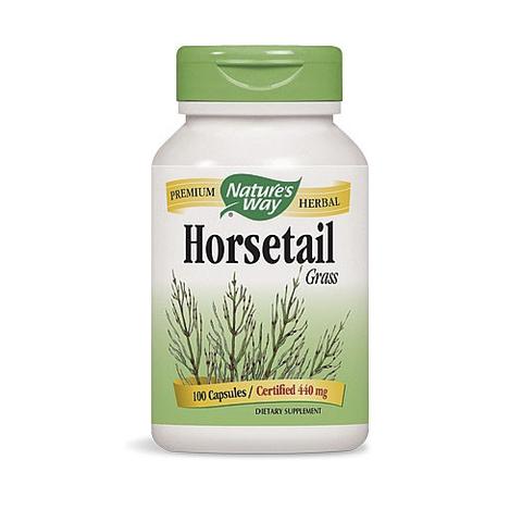 Horsetail Grass 100 Cápsulas
